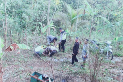 Lansia di Dlingo Terperosok ke Jurang Saat Mengendarai Motor, Diduga Mengantuk