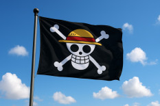 Viral Pengibaran Bendera One Piece, Badan Siber Ansor Beri Komentar