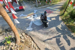 Alasan Karang Taruna Temuwuh Kidul, Sleman Lukis Jalan Kampung dengan Logo One Piece