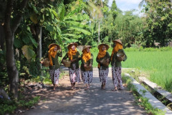 Destinasi Museum Tani Jawa, Mengenal Teman Akrab Para Petani
