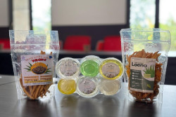 Fisip UAJY dan UKRIM Kembangkan Teknologi Pengering Tenaga Surya untuk Produk Herbal