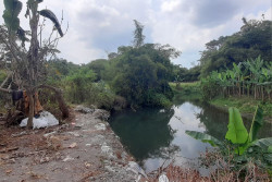 Tebing Sungai Mruwe di Bantul Longsor Sejak Mei, Warga Khawatir Dampaknya Meluas