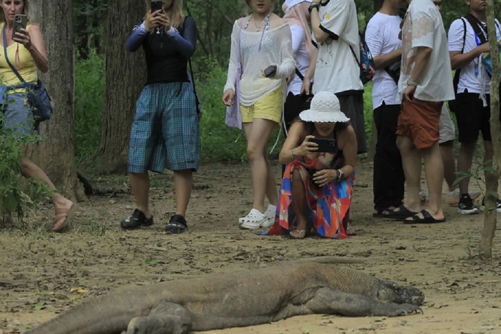 Isu Pembangunan 600 Vila di Pulau Komodo Dibantah Menteri Kehutanan