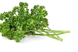 Mengenal Parsley dan Batangnya yang Kaya Manfaat