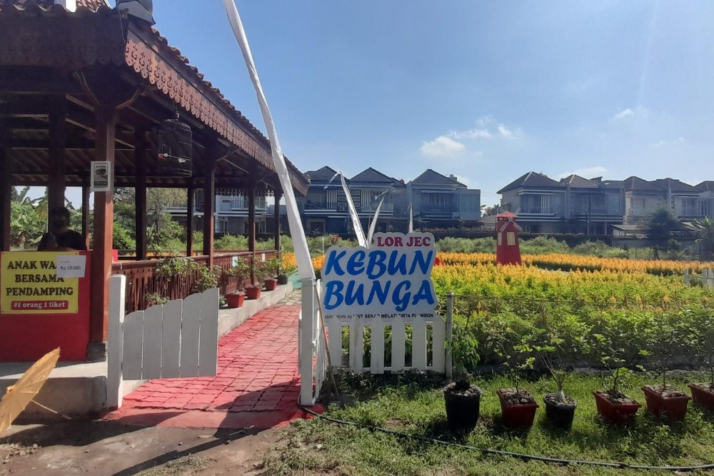 Kebun Bunga Lor JEC Jadi Destinasi Wisata Baru di Banguntapan Bantul