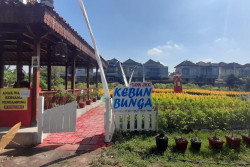 Kebun Bunga Lor JEC Jadi Destinasi Wisata Baru di Banguntapan Bantul