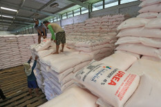 Tak Punya Kartu Tani, Petani Bantul Tetap Bisa Tebus Pupuk Subsidi