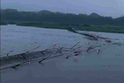 Diterjang Arus Aliran Kali Progo, Jembatan Sesek Roboh