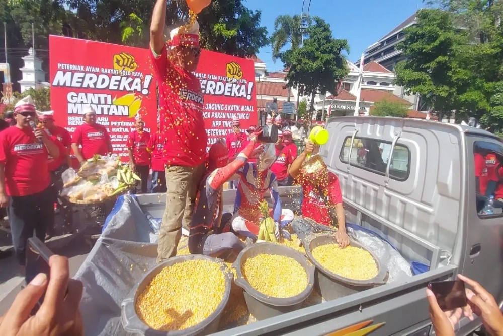 Peternak Gelar Aksi Mandi Jagung, Protes Mahalnya Harga Pakan