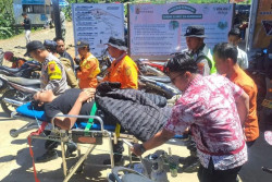 Tim SAR Gabungan Evakuasi Pendaki Gunung Slamet yang Alami Hipotermia