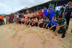 Pelepasan Tukik Jaga Habitat Penyu di Bumi Handayani