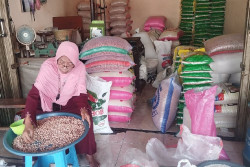 Bantuan Beras Bikin Pedagang Beras di Bantul Mengeluh