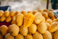 Mangga Kaya Senyawa Bioaktif Bermanfaat untuk Kesehatan