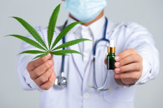 3 Kurir Ganja di Medan Dituntut Hukuman Mati