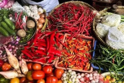 Harga Pangan Hari Ini, Sabtu 6 September 2025, Masih Fluktuatif
