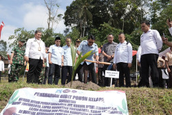 Dukung Ketahanan Pangan, Bapas-Pemkab Sleman Tanam Bibit Kelapa