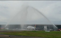 Alasan dan Skema Merger Pelita Air dan Garuda