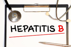 11.469 Ibu Hamil Terpapar Hepatitis B, Ini Penjelasan Dinkes Pekanbaru