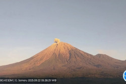 Gunung Semeru Erupsi Pagi Ini, Ketinggian Letusan Capai 700 Meter