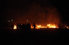 3 Hektare Lahan Tebu di Sragen Terbakar, Penyebab masih Diselidiki