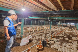 Pemerintah Jaga Tarif Listrik Tetap Terjangkau Sepanjang 2025