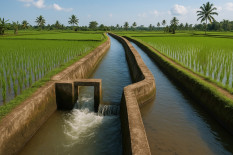 Puluhan Ribu Lahan Tadah Hujan di Gunungkidul Siap Ditanami