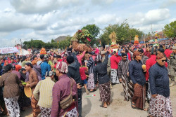 Bibit Pohon, Kado Peringatan Hari Jadi untuk Lestarikan Alam di Gunungkidul