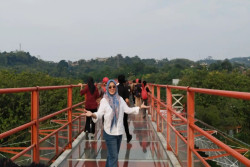 Jembatan Kaca Tinjomoyo Resmi Dibuka, Ini Harga Tiketnya