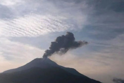 Dampak Erupsi Gunung Lewotobi Laki-laki, Bandara Frans Seda Maumere Ditutup