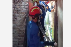 BPBD Bantul Evakuasi Ular Sanca Sepanjang 2,5 Meter di Jetis