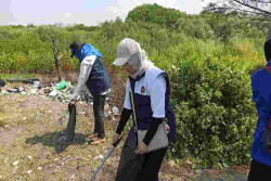 Derap Langkah Kasno dan Komunitas Mangrove Semarang