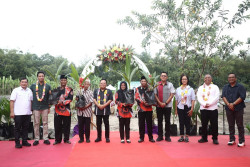 Sleman Terima 15.000 Bibit Kelapa Genjah Pandan Wangi dari Kementan