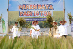 Pemprov Jateng Dukung Penuh Lomba Panen Padi 10 Ton per Hektare