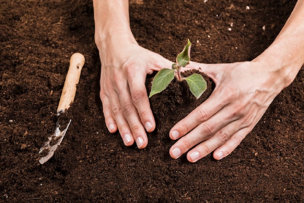 IKLH Bantul Masih Menengah, Pemkab Dorong Gerakan Hijau