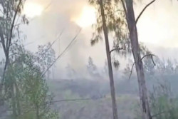 Titik Baru Kebakaran Hutan Gunung Rinjani Ditemukan