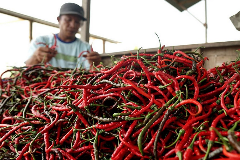 Harga Cabai Rawit Rp39.205/kg, Bawang Merah Rp37.805/kg