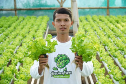 Mentan Sebut 27 Ribu Anak Muda Jadi Petani Berpenghasilan Rp20 Juta