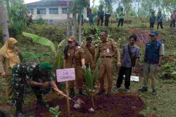 Dukung Pariwisata, Petani Gunungkidul Dibantu 11.000 Bibit Kelapa