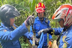 Petugas Evakuasi 518 Ular di Bantul, Sebagian Besar di Permukiman