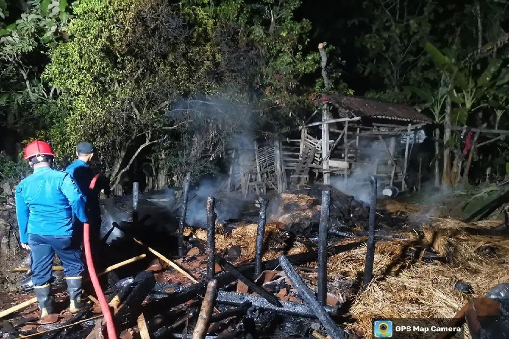 Dua Ekor Sapi Mati Terpanggang di Boyolali