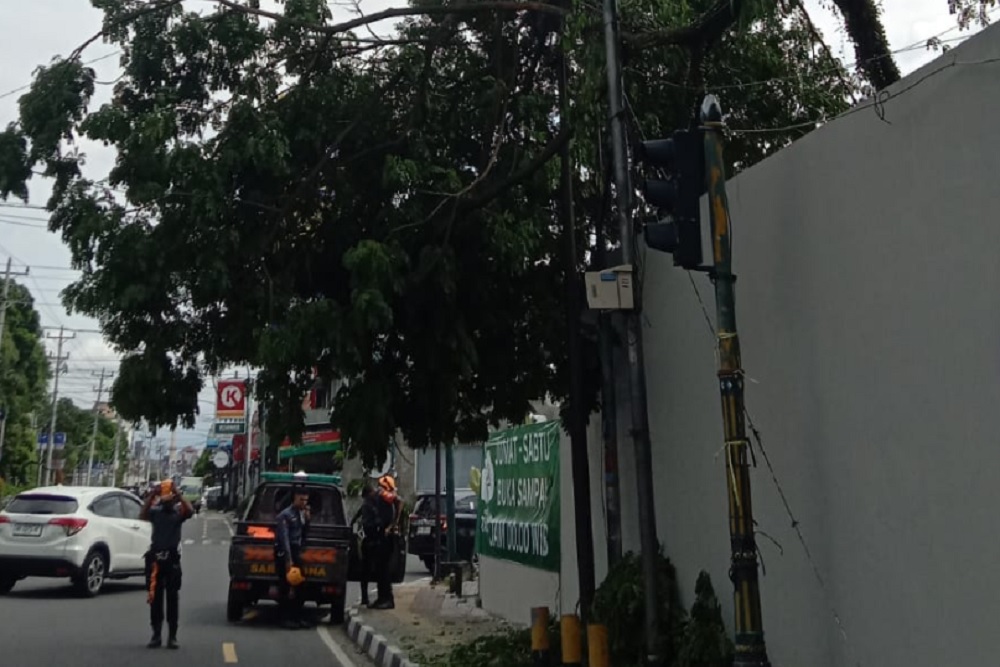 Dahan Pohon Munggur Patah Timpa Warung di Jalan Kusbini Jogja