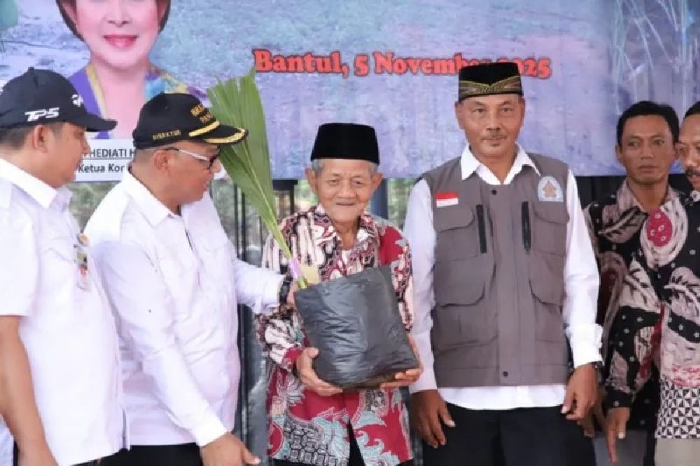 Penanaman Perdana Kelapa Genjah Digelar di Selopamioro Bantul