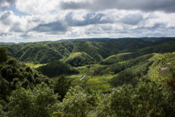 Fakta Unik Kota Mawsynram, Tempat Terbasah di Planet Bumi