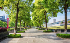 RTH Perkotaan Sleman Baru 9 Persen, Jauh dari Standar Ideal