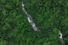 Menhut Raja Juli Tegaskan Komitmen Indonesia Melindungi Hutan Tropis