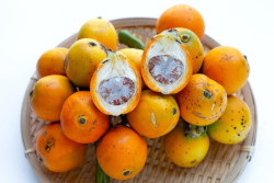 Manfaat Buah Pinang untuk Kesehatan dan Risikonya bagi Tubuh