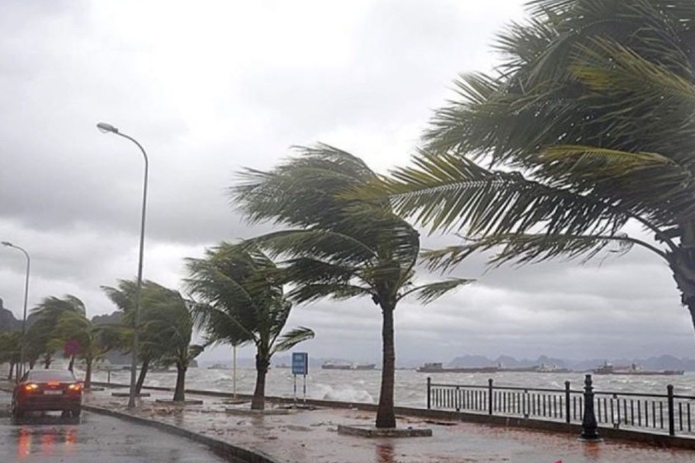 Waspada Hujan Lebat dan Angin Kencang di DIY Tiga Hari ke Depan