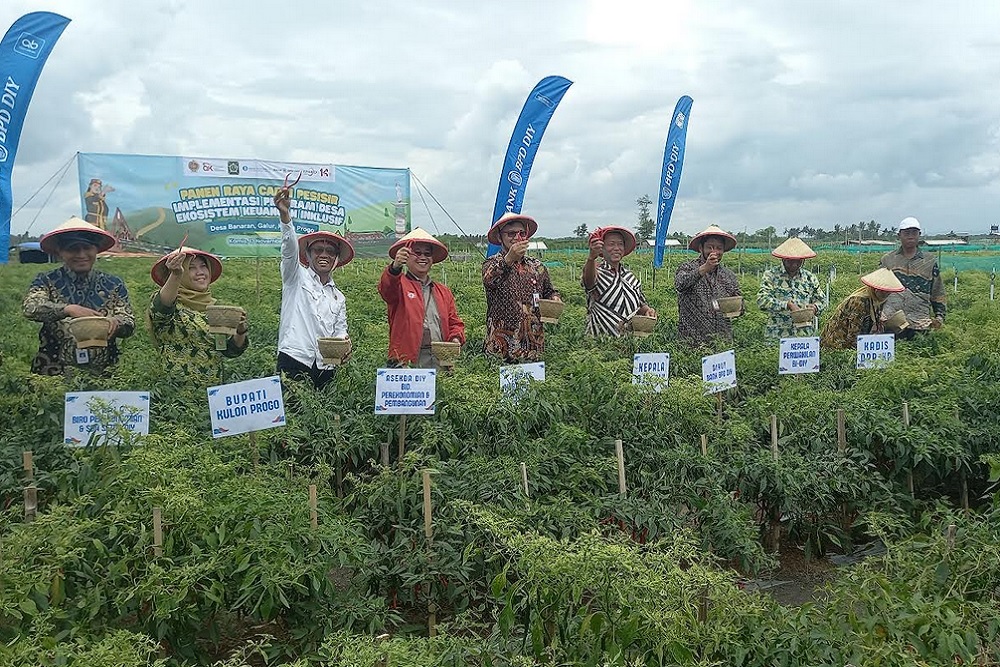 OJK DIY Gelar Panen Raya di Galur Implementasi EKI