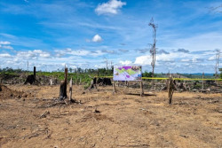 Operasi Seblat Amankan 2.390 Ha Lahan dari Mafia Perambah Hutan