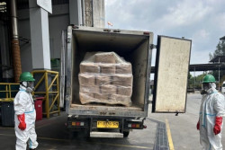 Pemerintah Musnahkan 5,7 Ton Udang Tercemar Cs-137